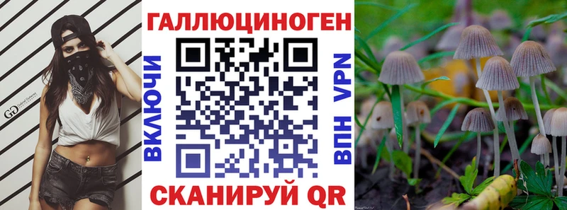 Псилоцибиновые грибы GOLDEN TEACHER  хочу наркоту  кракен маркетплейс  Светогорск 